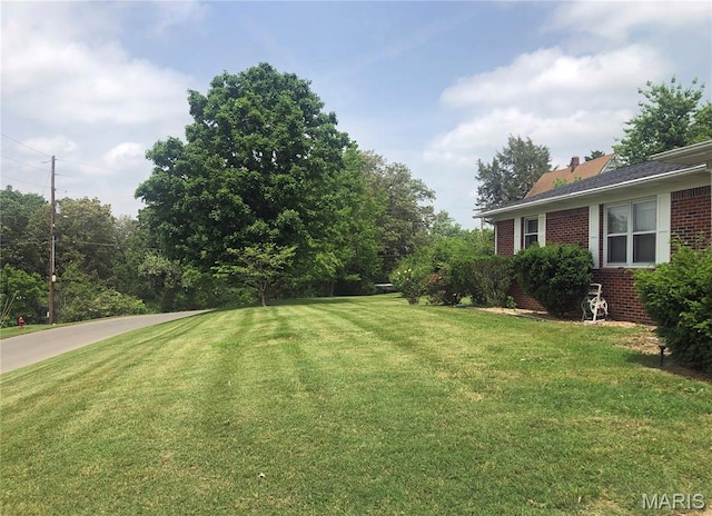 603 W Bloomfield Ave, Bloomfield, MO 63825 - view of green lawn