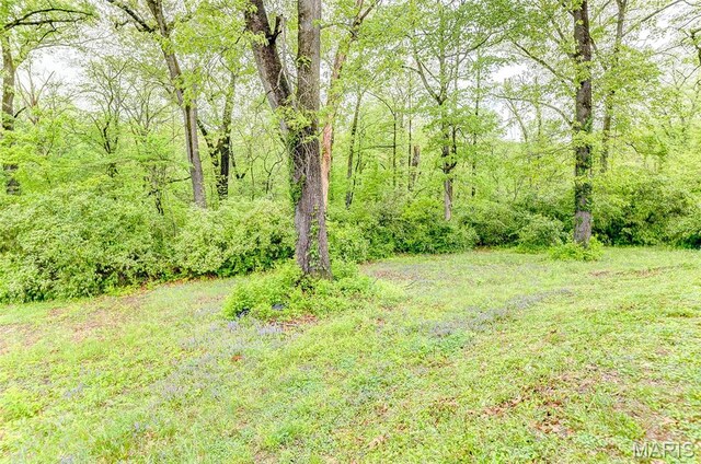 14 Carson Dr, Belleville, IL 62223 - view of tree filled area