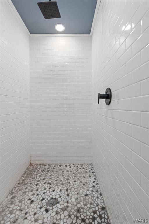 3244 Michigan Ave, Saint Louis, MO 63118 - bathroom with a tile shower