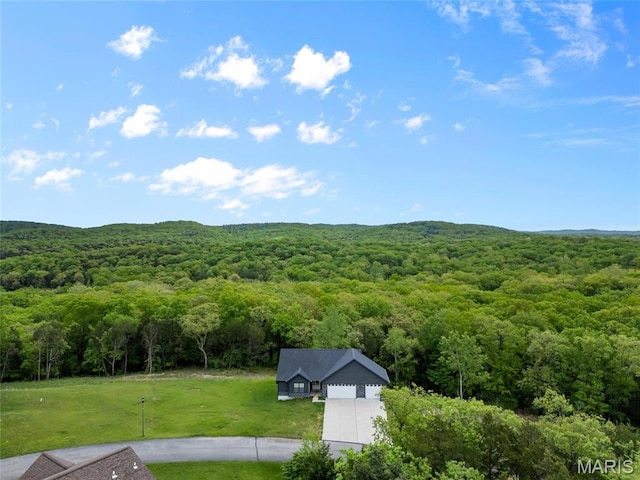 764 Red Clover Dr, Cedar Hill, MO 63016 - view of mountain background with a forest