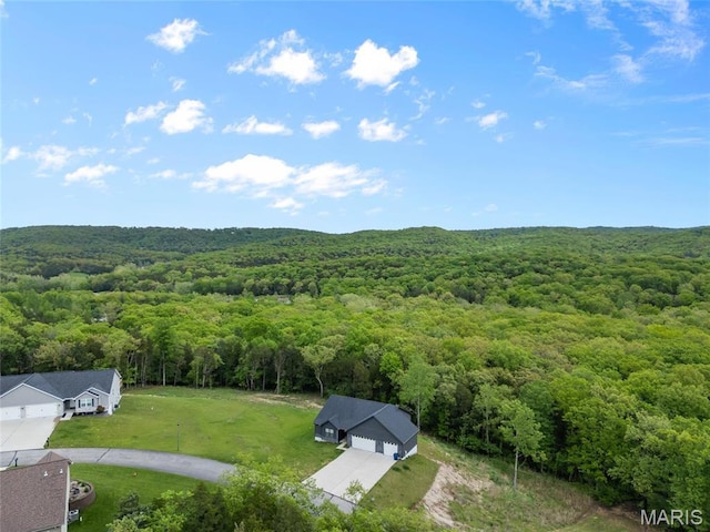 764 Red Clover Dr, Cedar Hill, MO 63016 - bird's eye view of a forest