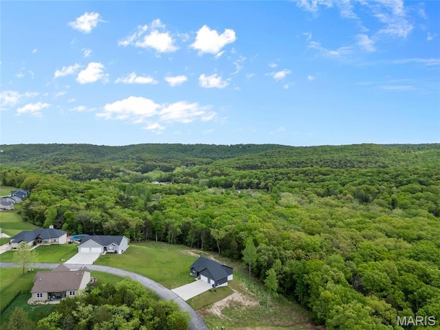 764 Red Clover Dr, Cedar Hill, MO 63016 - aerial view of a forest