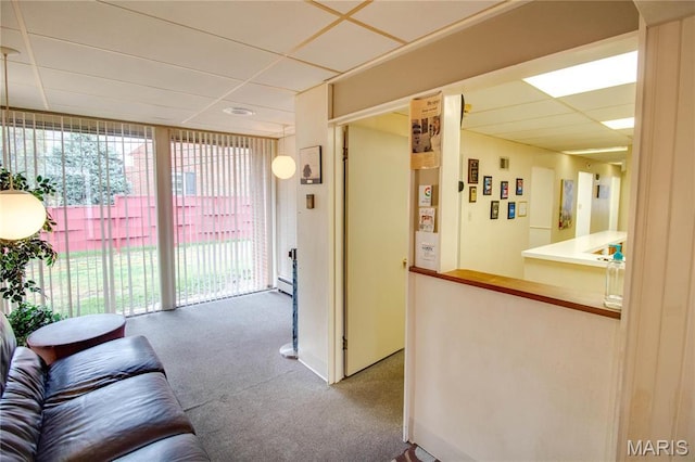 carpeted living area featuring a paneled ceiling