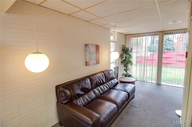 living area with a paneled ceiling, tile walls, carpet floors, and floor to ceiling windows