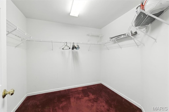 6144 Misty Meadow Dr, House Springs, MO 63051 - walk in closet featuring carpet floors