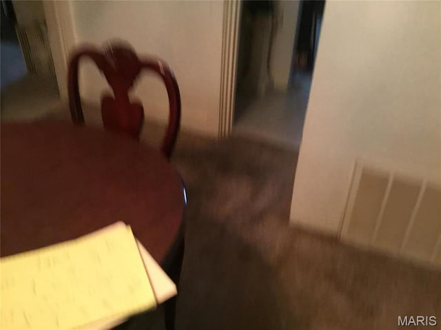 504 S Hickory St S, Cuba, MO 65453 - detailed view of carpet