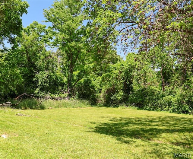 5501 Dober Ln, Saint Louis, MO 63129 - view of grassy yard