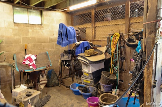 5501 Dober Ln, Saint Louis, MO 63129 - view of storage area