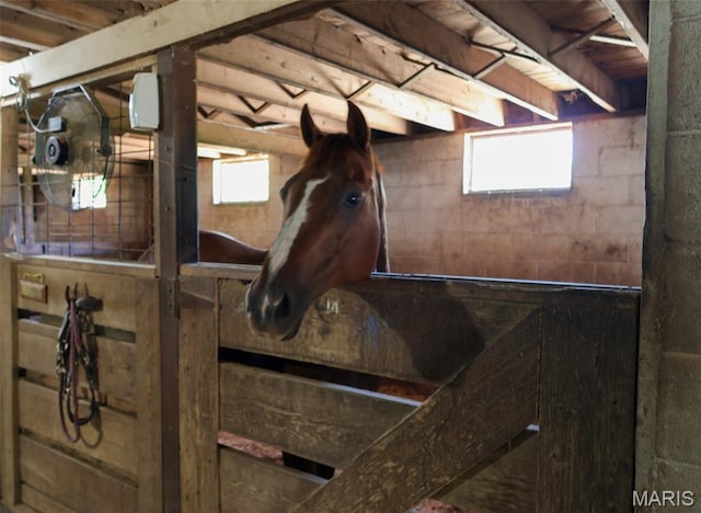 5501 Dober Ln, Saint Louis, MO 63129 - view of stable