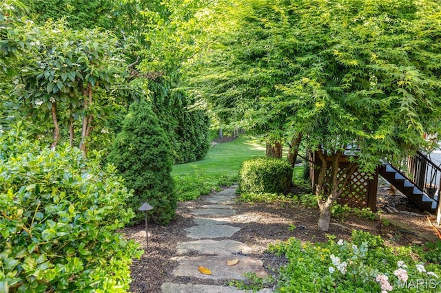 13815 Clayton Rd, Chesterfield, MO 63017 - view of green lawn featuring stairway