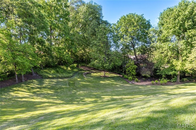 13815 Clayton Rd, Chesterfield, MO 63017 - view of grassy yard