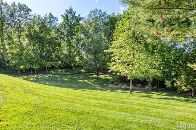 13815 Clayton Rd, Chesterfield, MO 63017 - view of grassy yard