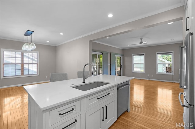 385 E Clinton Pl, Saint Louis, MO 63122 - kitchen featuring a sink, open floor plan, stainless steel appliances, light wood-type flooring, and light countertops