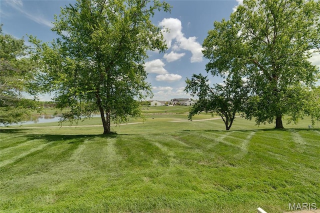 view of green lawn with a water view