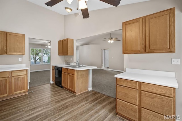 104 Ashford Oaks Ct, Wentzville, MO 63385 - photo 15