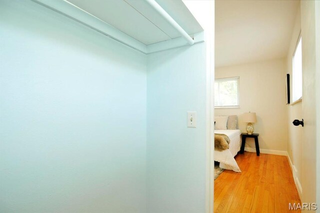 7051 Lansdowne Ave, Saint Louis, MO 63109 - walk in closet featuring light wood-style flooring