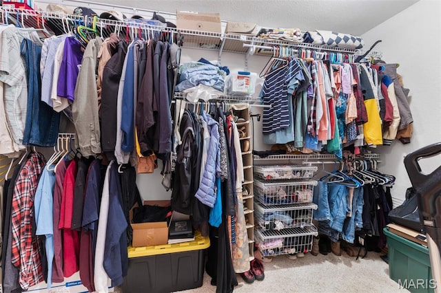 102 Timber Ln, Farmington, MO 63640 - view of spacious closet