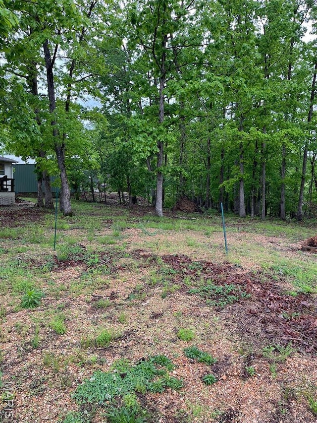 474 Bluffview Dr, Piedmont, MO 63957 - view of yard
