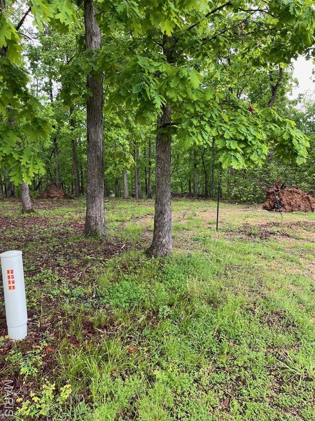 474 Bluffview Dr, Piedmont, MO 63957 - view of yard