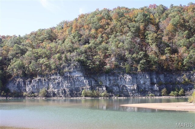 474 Bluffview Dr, Piedmont, MO 63957 - water view featuring a heavily wooded area