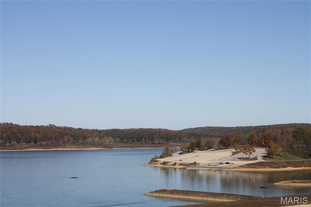 474 Bluffview Dr, Piedmont, MO 63957 - water view with a heavily wooded area