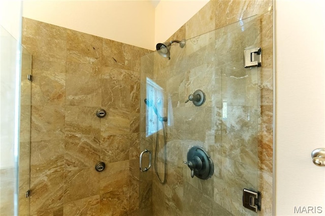 1025 Cobblestone Dr, Rolla, MO 65401 - bathroom with a stall shower