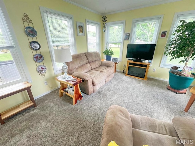 11652 Two Mile Rd, Dexter, MO 63841 - carpeted living room featuring ornamental molding and baseboards