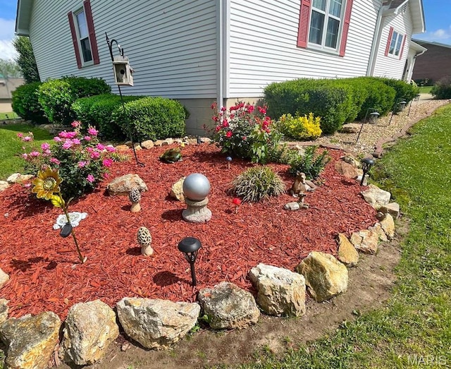 11652 Two Mile Rd, Dexter, MO 63841 - view of yard