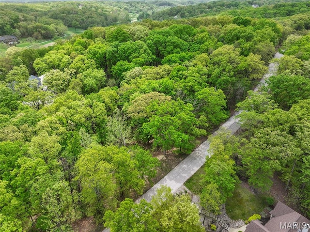1524 Shalimar Ridge Ln, High Ridge, MO 63049