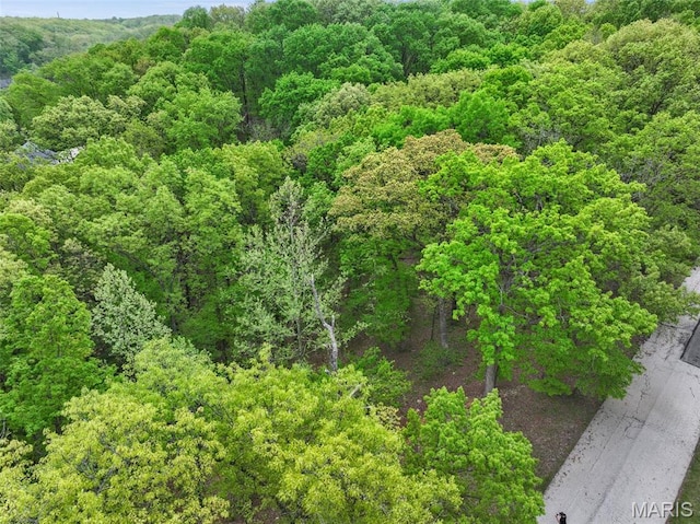 1524 Shalimar Ridge Ln, High Ridge, MO 63049