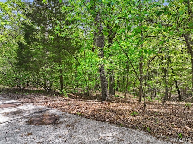 1524 Shalimar Ridge Ln, High Ridge, MO 63049