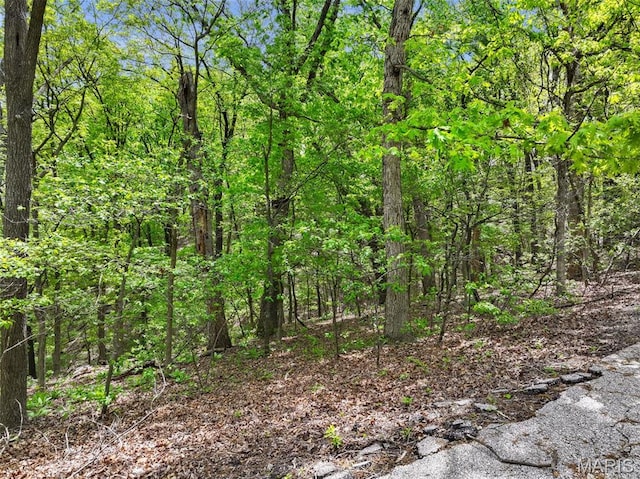 1524 Shalimar Ridge Ln, High Ridge, MO 63049