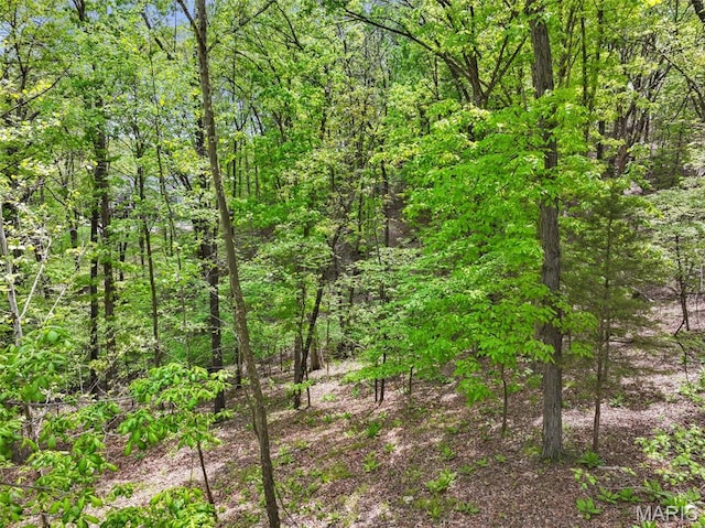 1524 Shalimar Ridge Ln, High Ridge, MO 63049