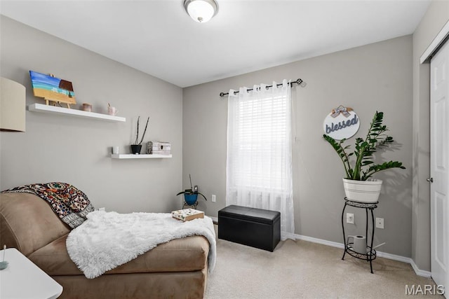 bedroom featuring carpet flooring, baseboards, and a closet