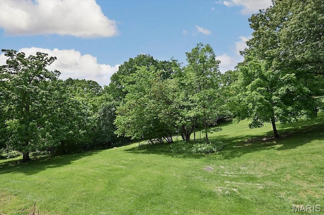 13709 La Conte Ct, Saint Louis, MO 63128 - photo 16