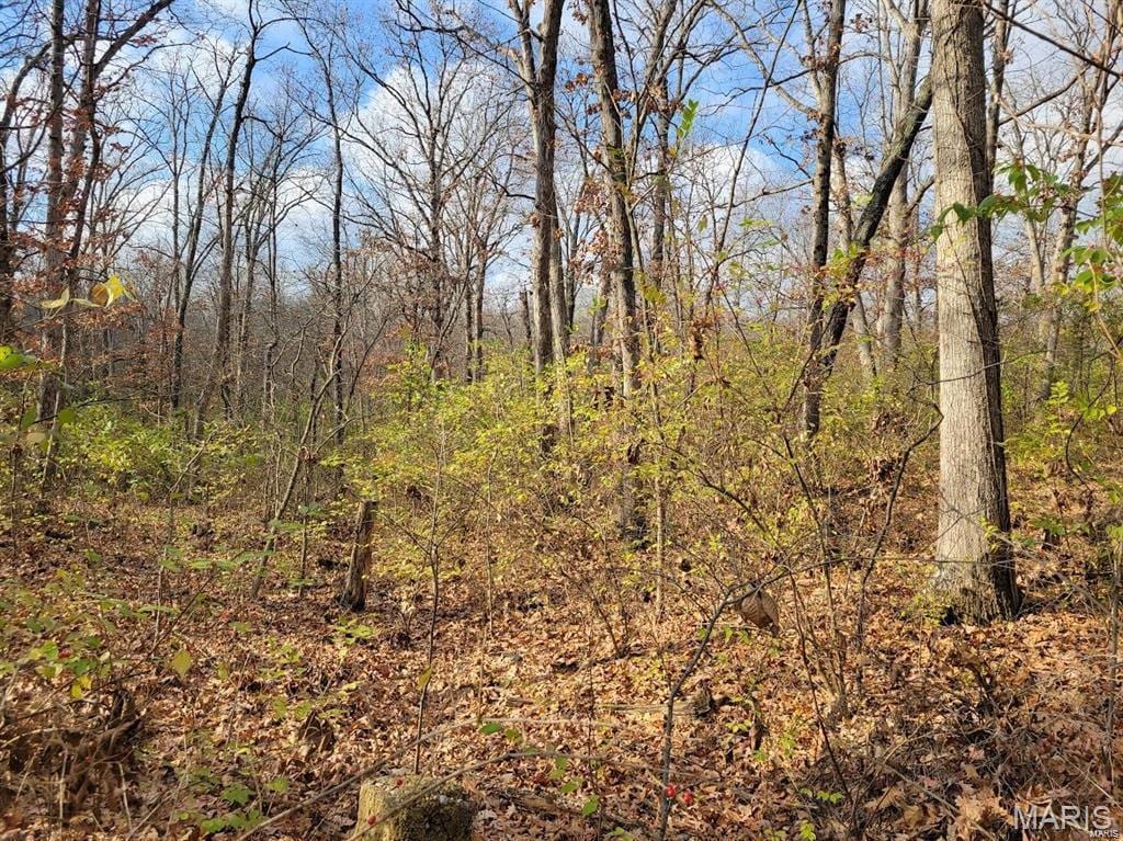 0 Beach Cir, Moscow Mills, MO 63362