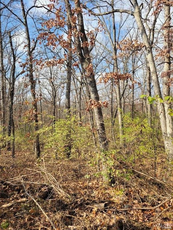 0 Beach Cir, Moscow Mills, MO 63362