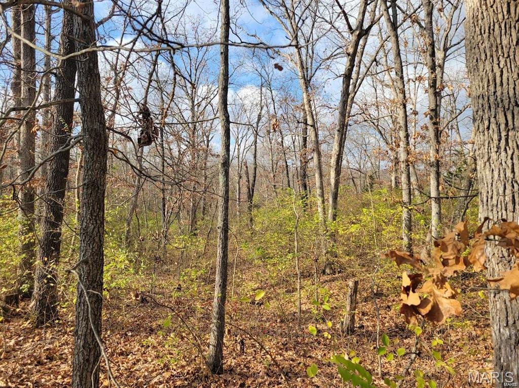 0 Beach Cir, Moscow Mills, MO 63362