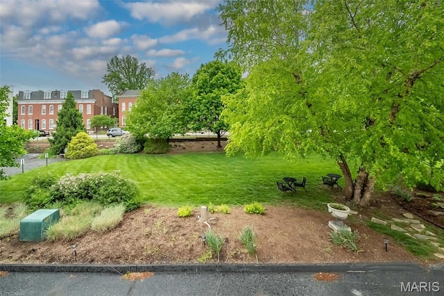 1040 Carroll St Unit 6, Saint Louis, MO 63104 - view of yard