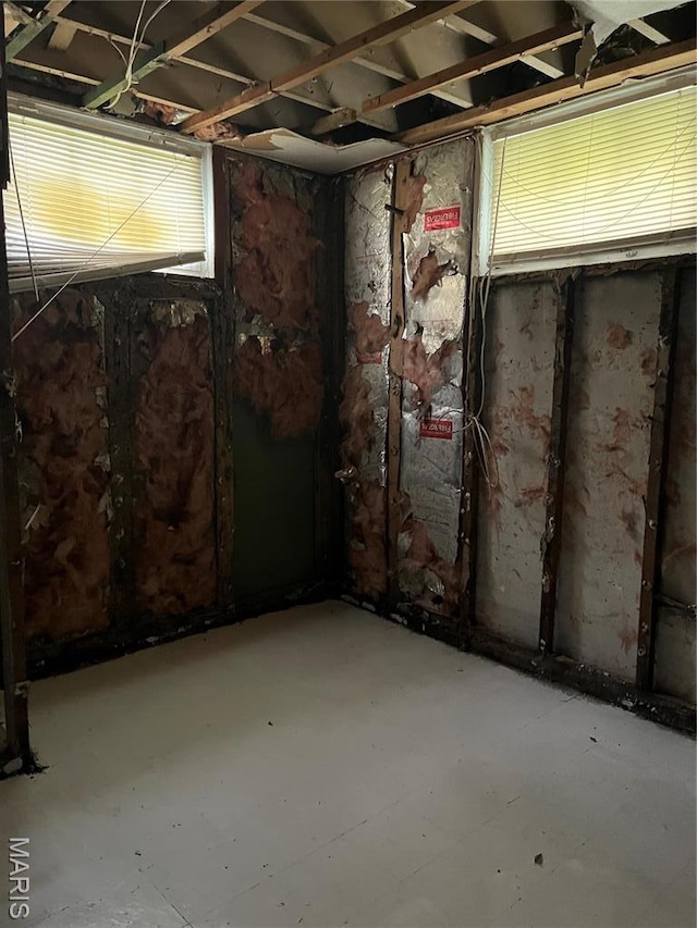2123 Rosebud Ave, Hillsdale, MO 63121 - view of below grade area