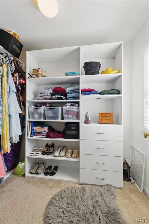 65 Snowberry Ridge Ct, Ofallon, MO 63366 - walk in closet featuring carpet