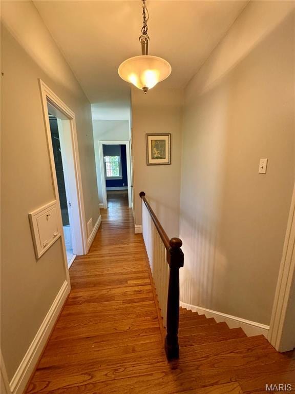 149 N Elizabeth Ave, Saint Louis, MO 63135 - hall featuring an upstairs landing, wood finished floors, and baseboards