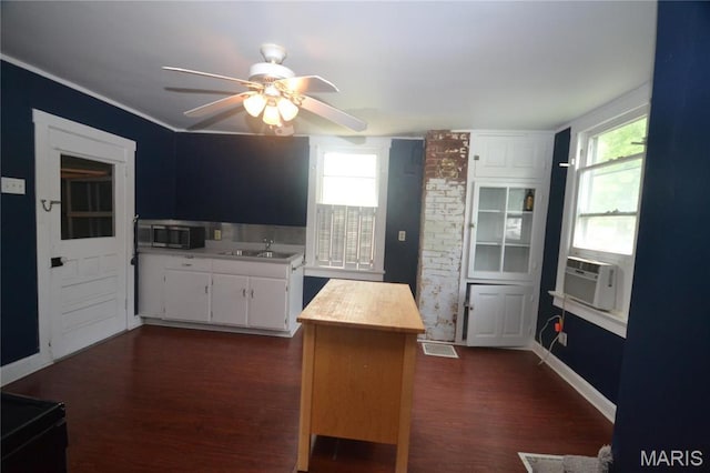 103 N Delaware Ave, Belleville, IL 62221 - kitchen featuring stainless steel microwave, a ceiling fan, plenty of natural light, and dark wood-style flooring