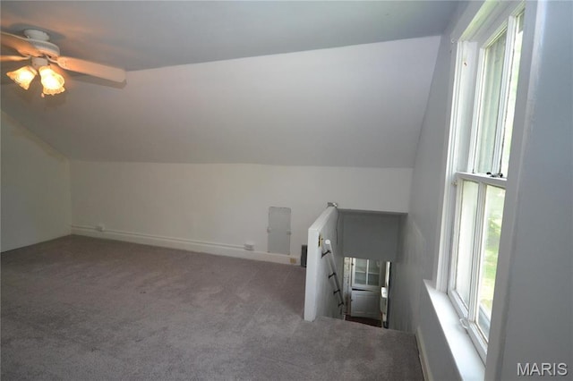103 N Delaware Ave, Belleville, IL 62221 - additional living space with lofted ceiling, carpet flooring, and a ceiling fan