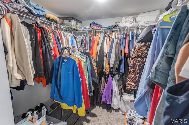 walk in closet with carpet flooring