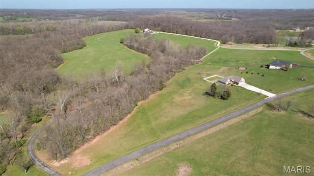 51 Champion Cir, Troy, MO 63379 - photo 36