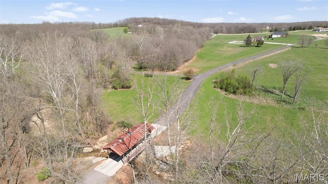 51 Champion Cir, Troy, MO 63379 - photo 40