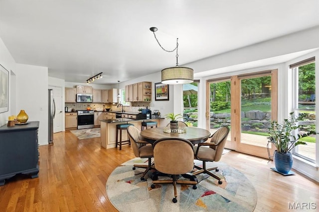 17282 Hilltop Ridge Dr, Eureka, MO 63025 - dining space featuring light wood-style floors