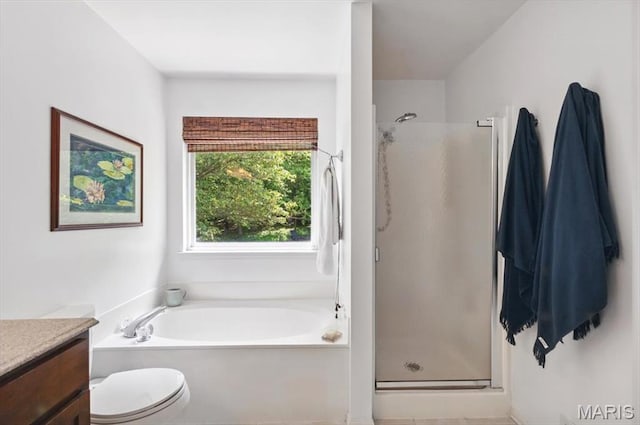 17282 Hilltop Ridge Dr, Eureka, MO 63025 - bathroom with vanity, a shower stall, a bath, and toilet
