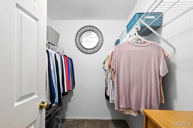 17282 Hilltop Ridge Dr, Eureka, MO 63025 - walk in closet featuring carpet flooring